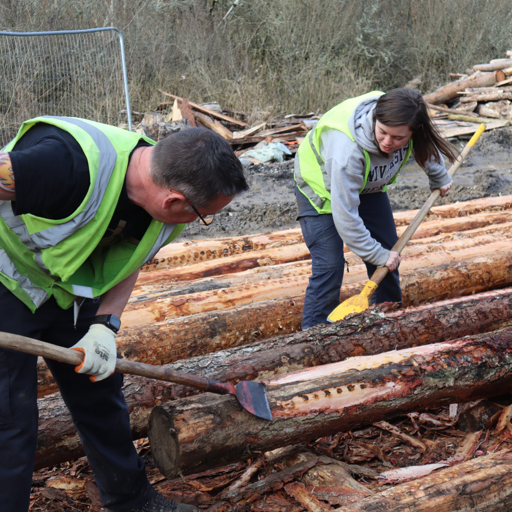 Debarking for the Crannog Build